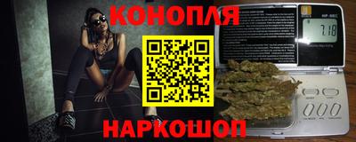 хмурый Тула