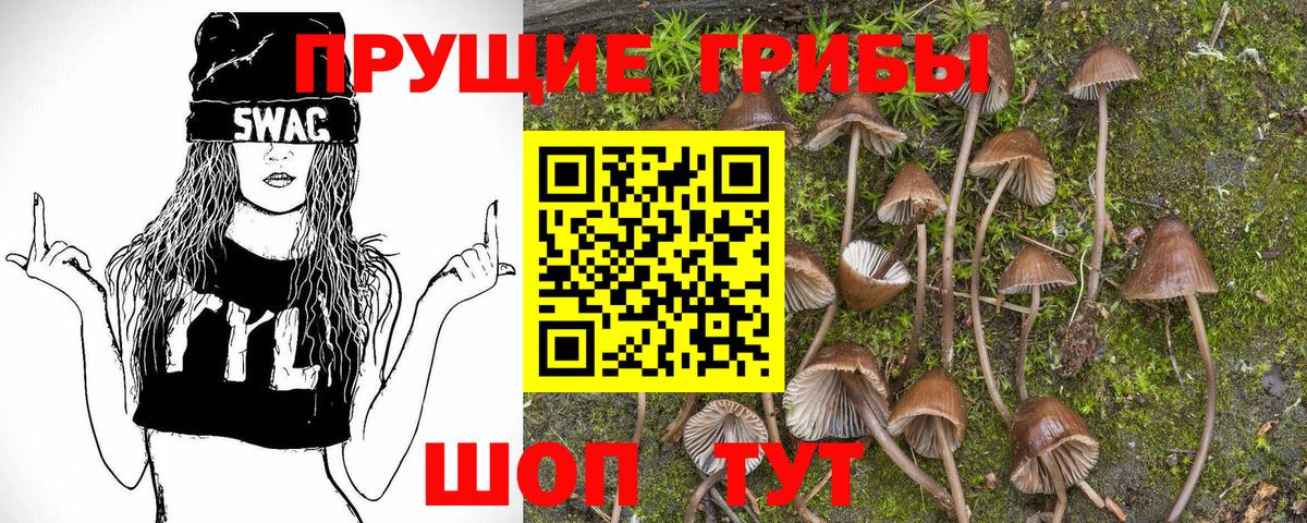 Псилоцибиновые грибы MAGIC MUSHROOMS  Вход с VPN  Нижнекамск 