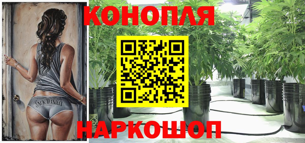Нижнекамск  Конопля планчик  Вход с VPN  Конопля план  Бошки марихуана тримм  Конопля MAZAR 